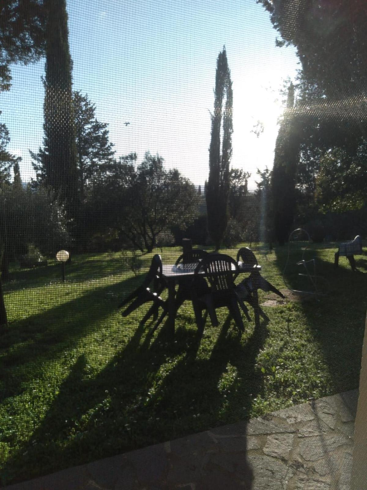 Agriturismo La Torre Di Monsindoli シエーナ エクステリア 写真