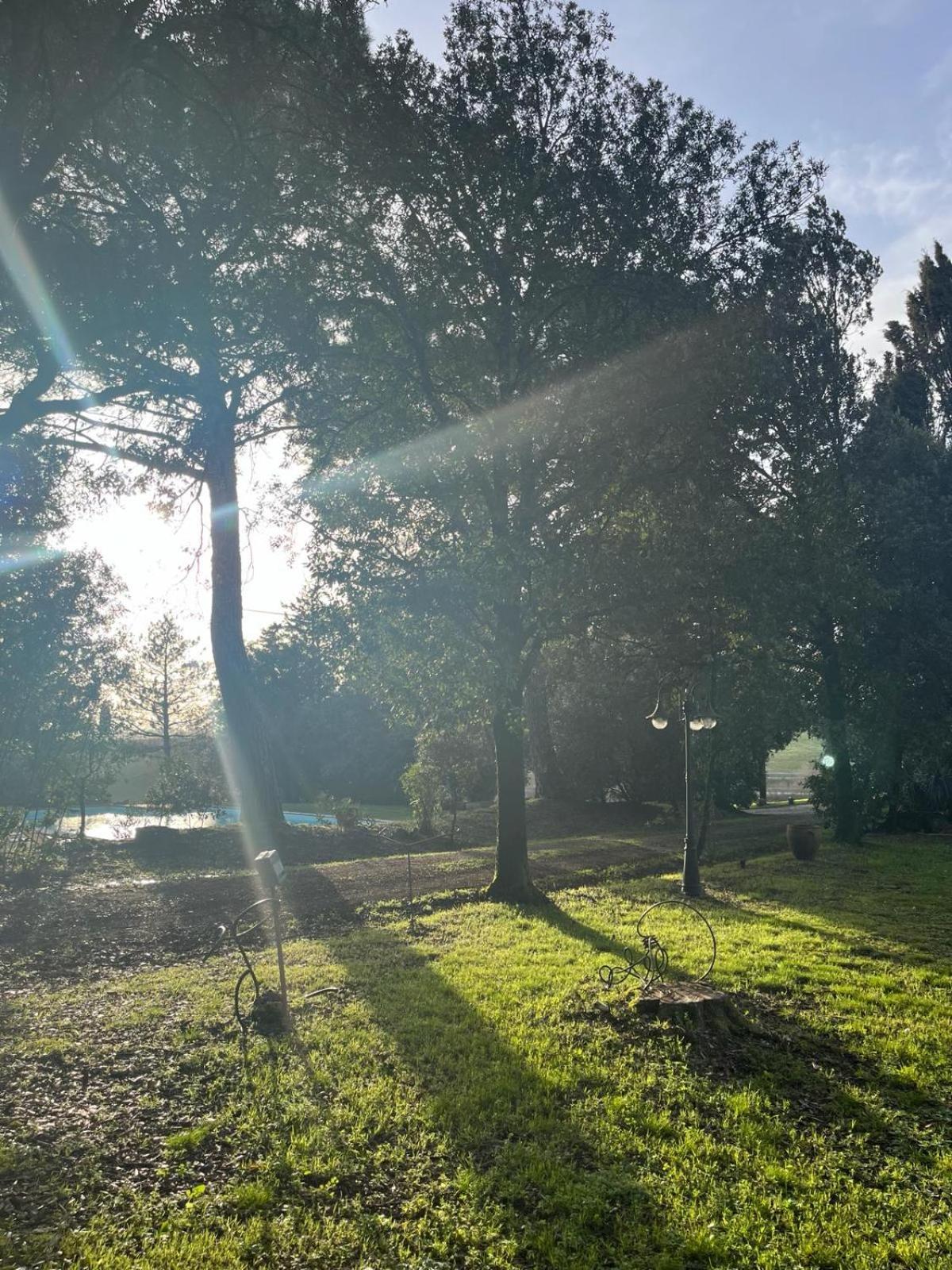 Agriturismo La Torre Di Monsindoli シエーナ エクステリア 写真